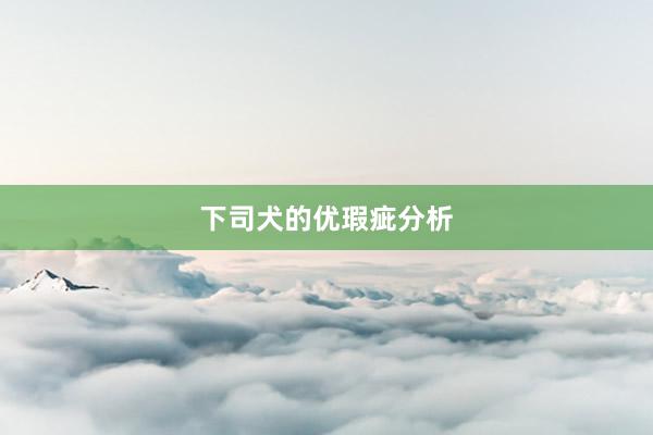 下司犬的优瑕疵分析